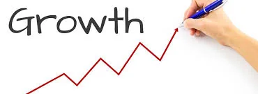 Growth is essential for every companies survival.
